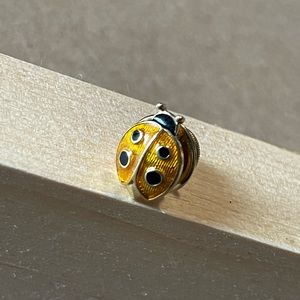 Avon lady bug pin